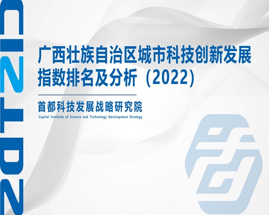 逼疼鸡巴操一下【成果发布】广西壮族自治区城市科技创新发展指数排名及分析（2022）